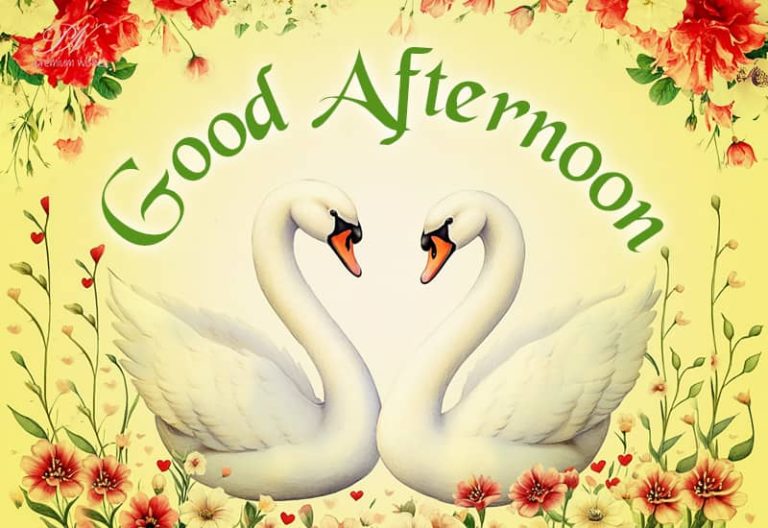 Good Afternoon Wishes