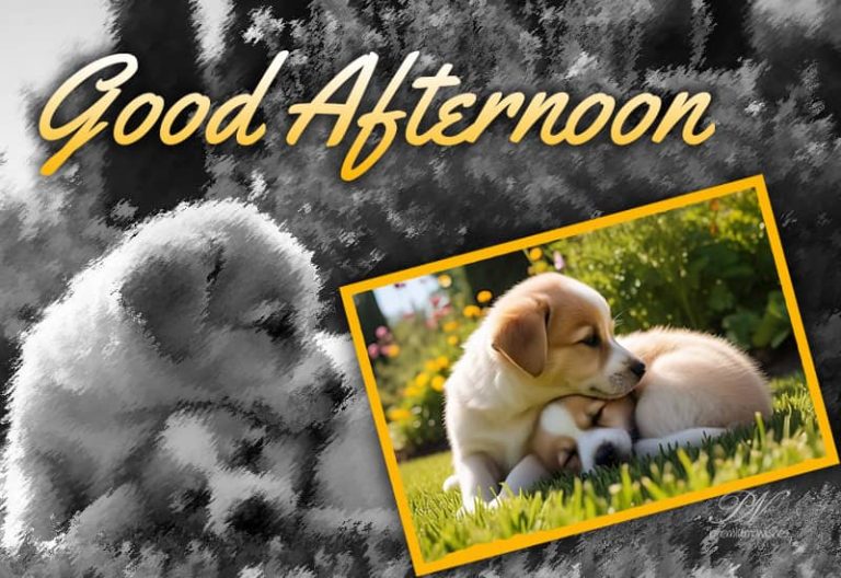 Good Afternoon Wishes