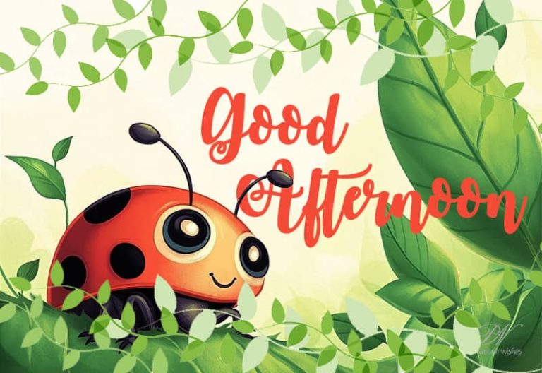 Good Afternoon Wishes