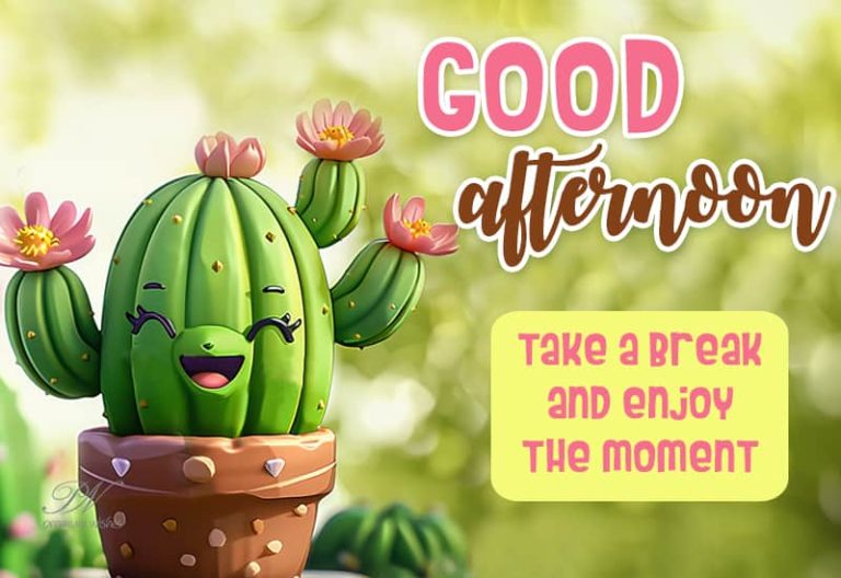 Good Afternoon Wishes