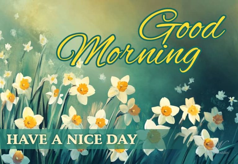 Good Morning – Enjoy your surroundings – have a nice day