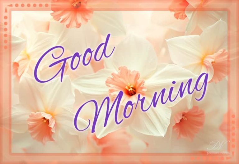Good Morning – Have a great day and morning