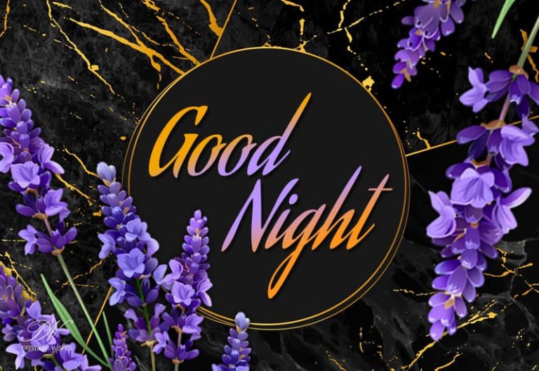 Good Night Wishes