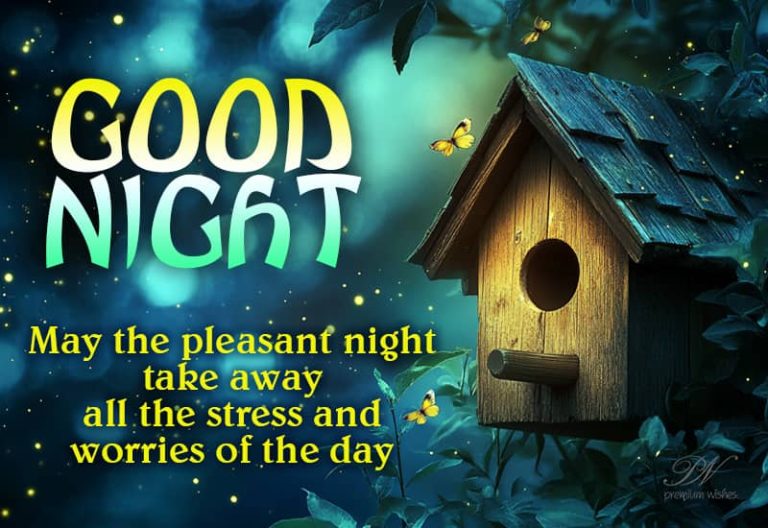 Good Night Wishes