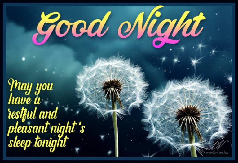 Good Night Wishes