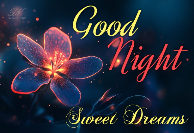 Good Night Wishes