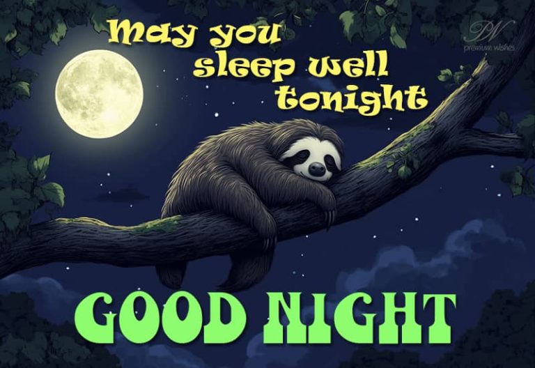 Good Night Wishes