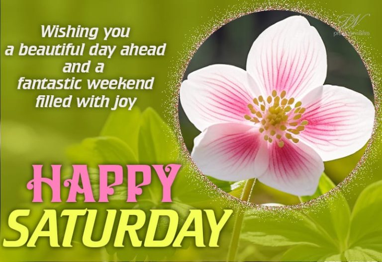 Wishing you a beautiful day ahead and a fantastic weekend filled with joy – Happy Saturday