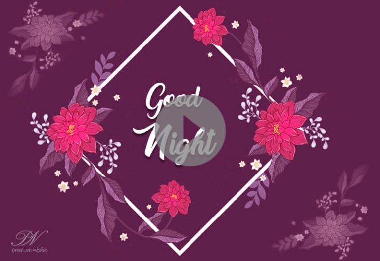Best Good Night Video- Good Night Greetings Video