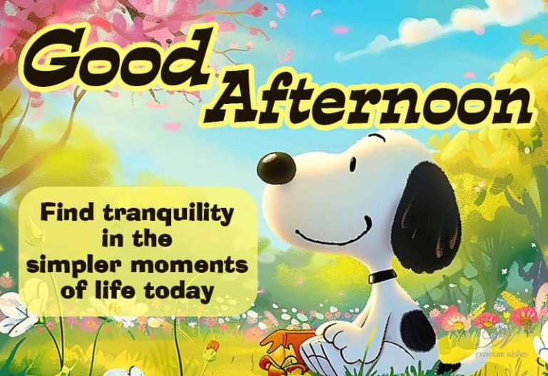 Good Afternoon Wishes