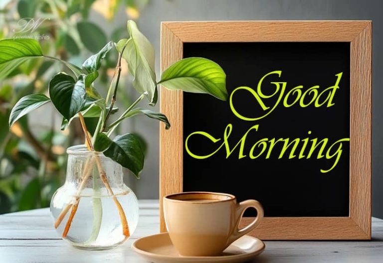 Good morning! Enjoy and make today a great one