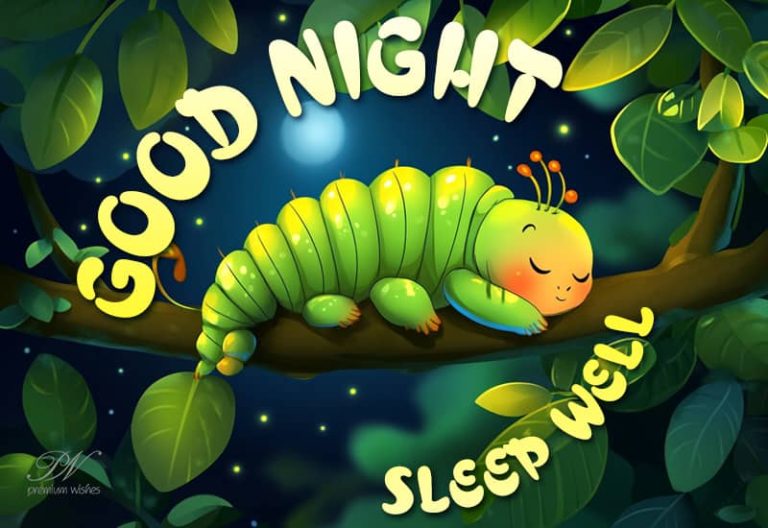 Good Night Wishes