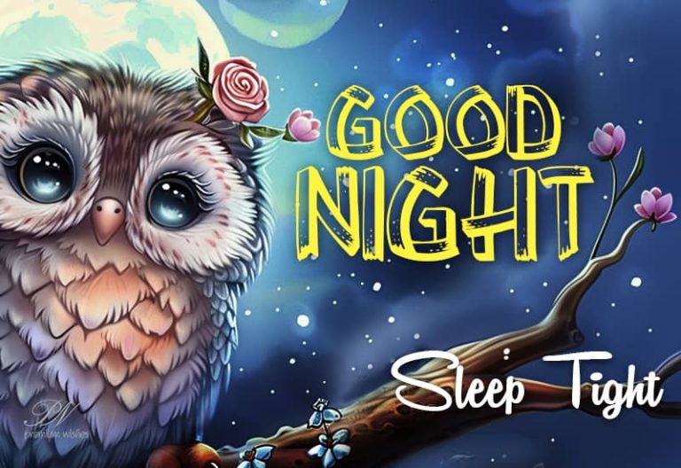 Good Night Wishes