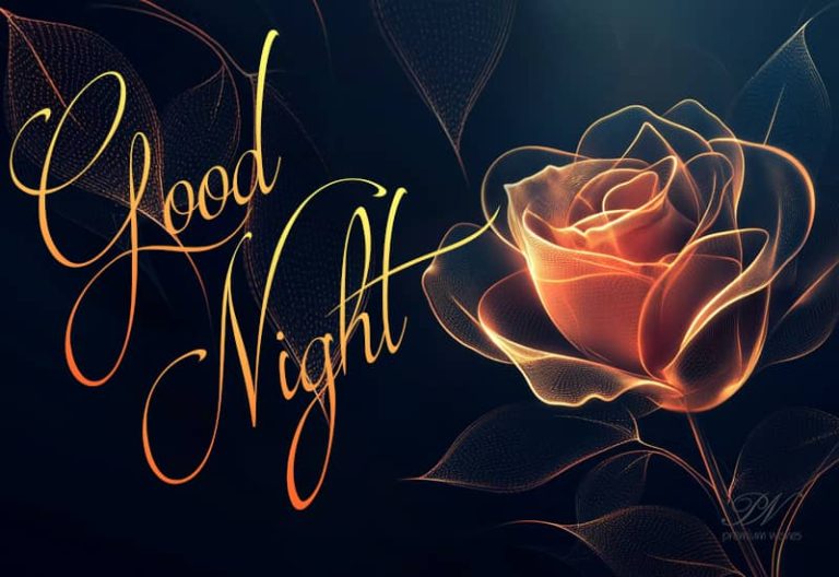 Good Night Wishes