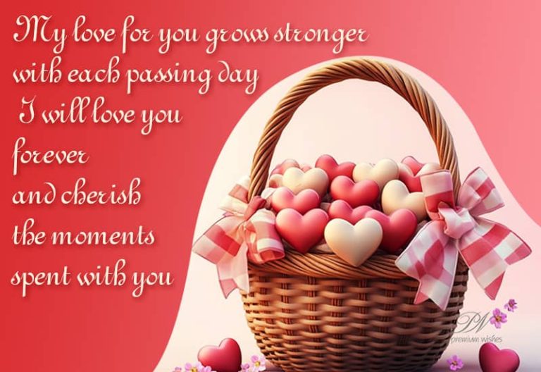 My love for you grows stronger with each passing day – I will love you forever and cherish the moments spent with you