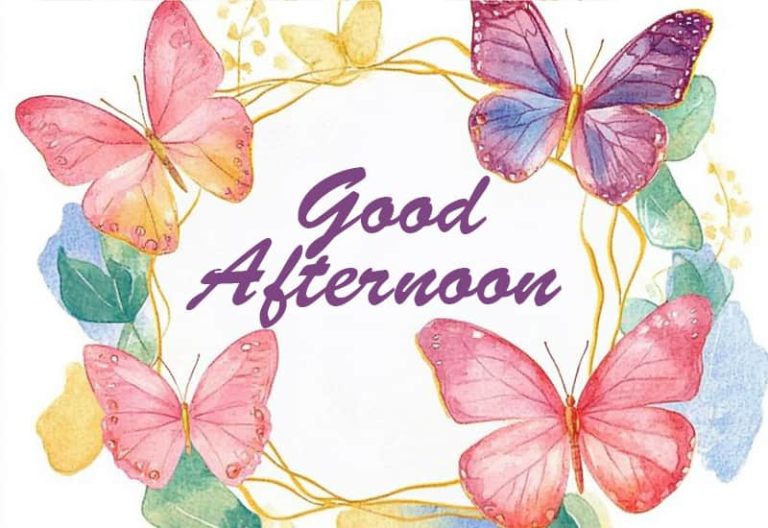 Good Afternoon – Enjoy your surroundings and have a fabulous noon