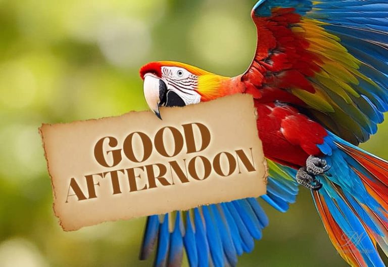 Good Afternoon Wishes