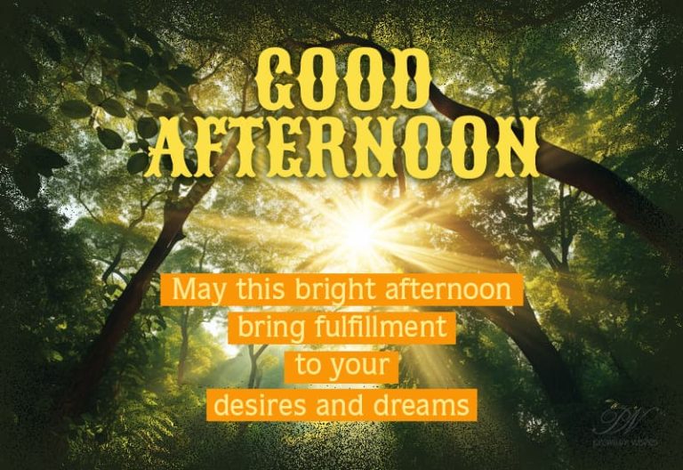 Good Afternoon Wishes