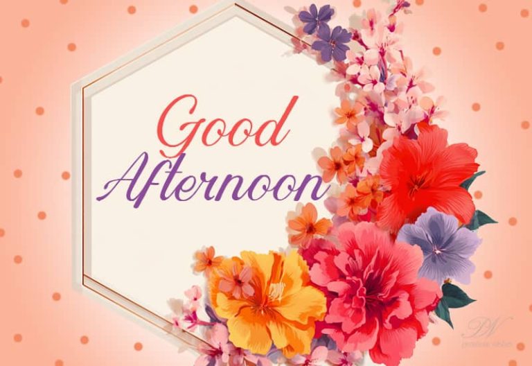 Good Afternoon! Add a little sprinkle of sugar, a dash of joy, and stir in some peace—it’s recipe time for happiness