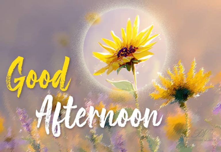 Good Afternoon! The morning ran, the evening will glow — now is your time to simply flow