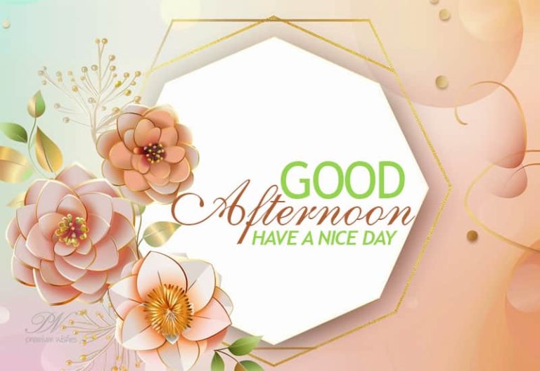 Good Afternoon Wishes