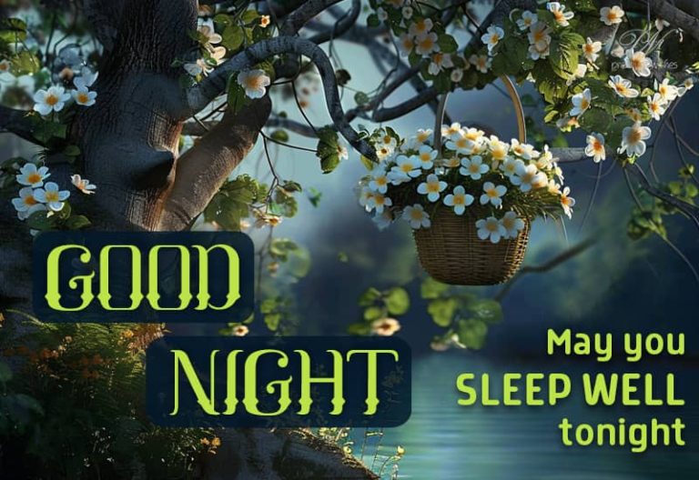 Good Night Wishes