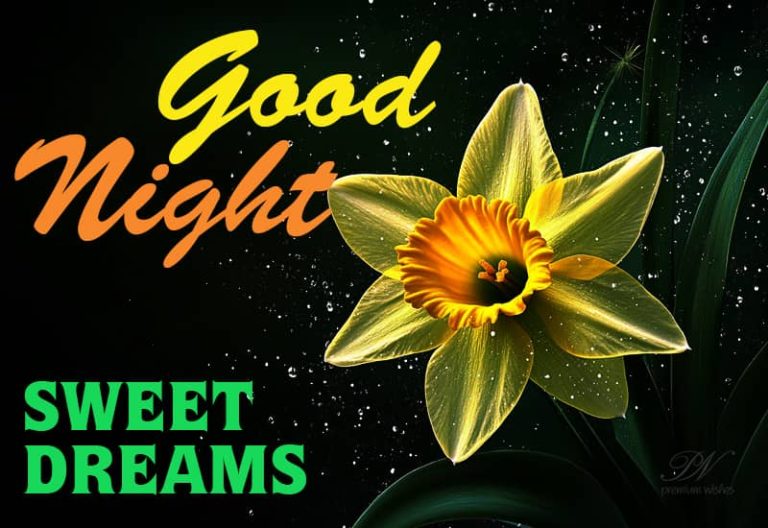 Good Night Wishes