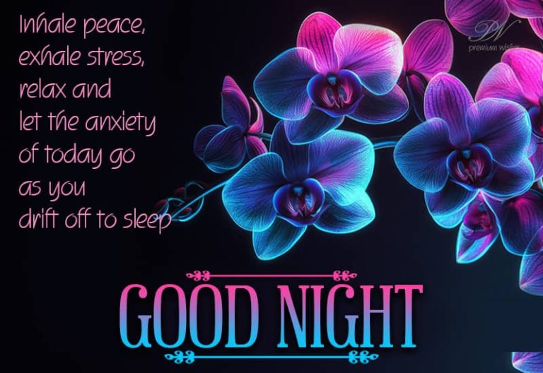 Good Night Wishes