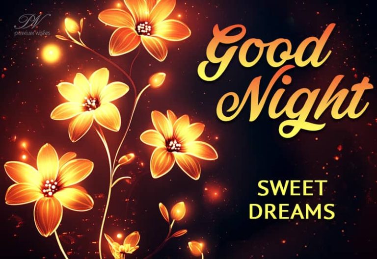 Good Night Wishes