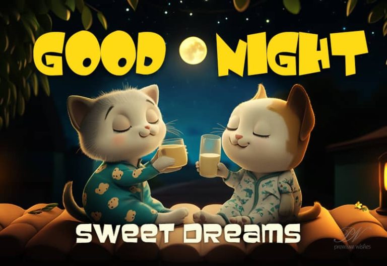Good Night Wishes