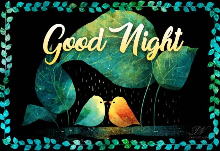 Good Night Wishes