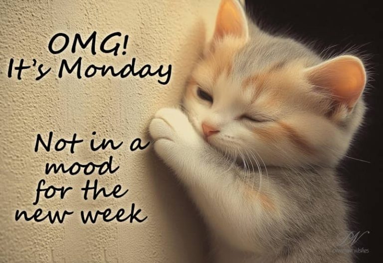 OMG! It’s Monday – Not in a mood for the new week