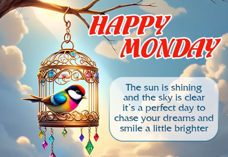 Happy Monday – The Sun is shining and the sky is clear – It is a perfect day to chase your dreams and smile a little brighter