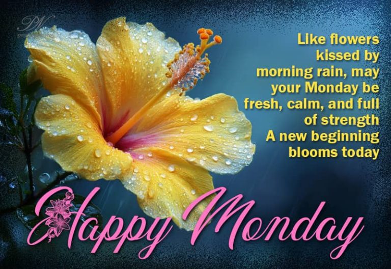 Like flowers kissed by morning rain, may your Monday be fresh, calm and full of strength