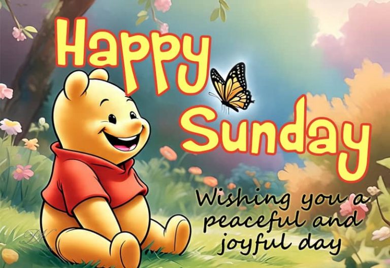 Happy Sunday – Wishing you a peaceful and joyful day