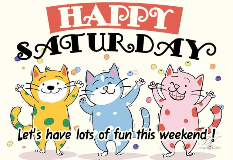 Happy Saturday – Let’s have lot of fun this weekend friends