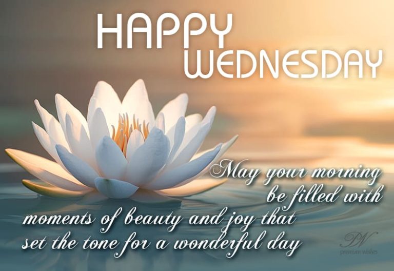 Happy Wednesday – May your morning be filled with moments of beauty and joy that set the tone for a wonderful day