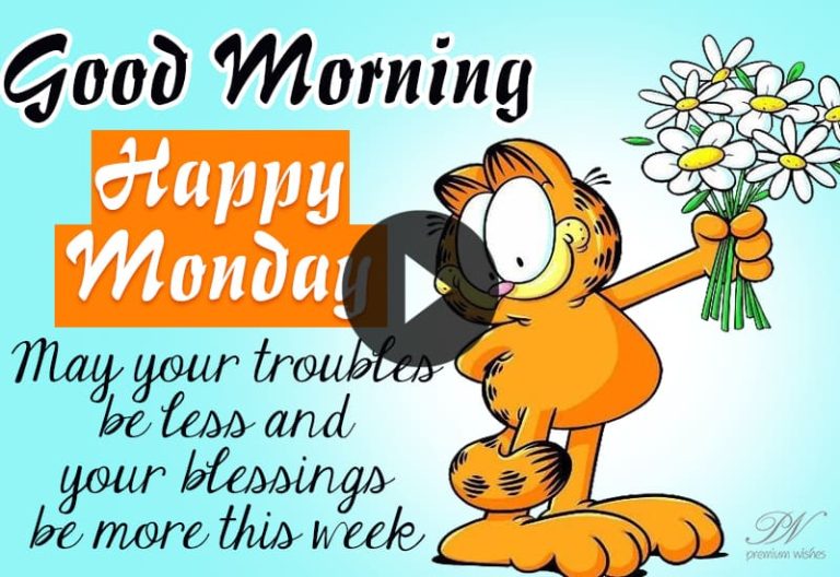 Cute Happy Monday Video – Good Morning Monday Greetings – Happy Monday Photos