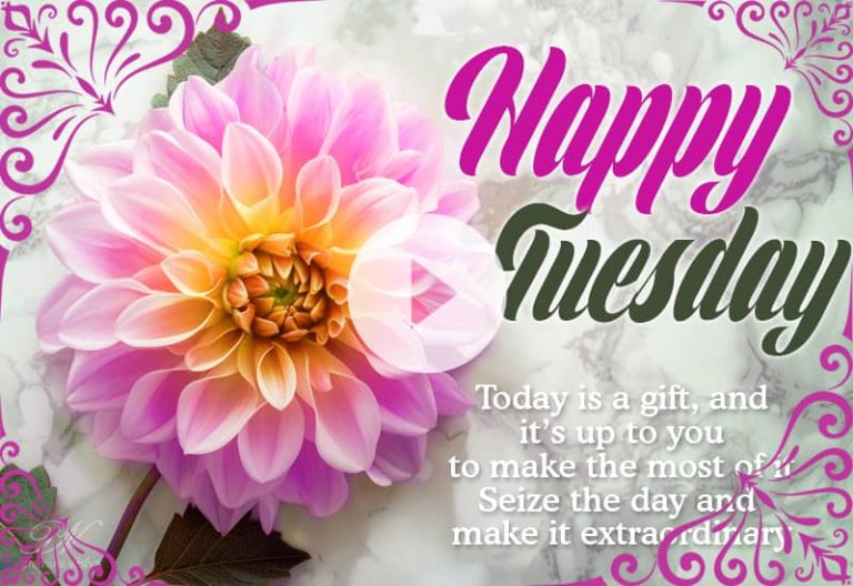 Happy Tuesday Beautiful Flowers – Good Morning Happy Tuesday Video – Best Morning Tuesday Video Happy Tuesday Beautiful Flowers – Good Morning Happy Tuesday Video – Best Morning Tuesday Video
