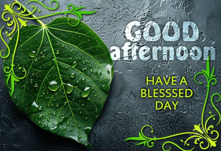 Good Afternoon – Nature doesn’t lose its beauty at noon — and neither do you