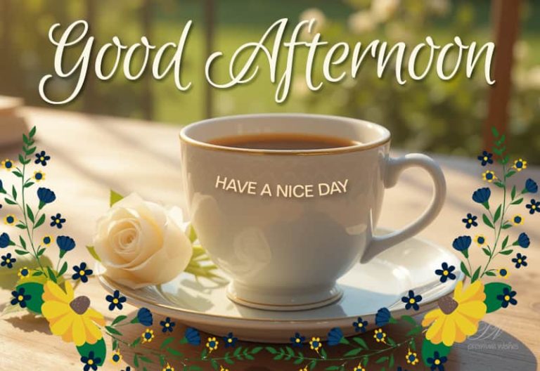 Good Afternoon Wishes