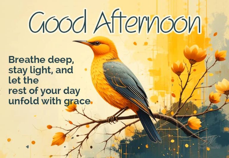 Good Afternoon Wishes