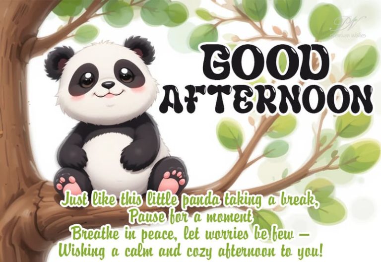 Good Afternoon Wishes