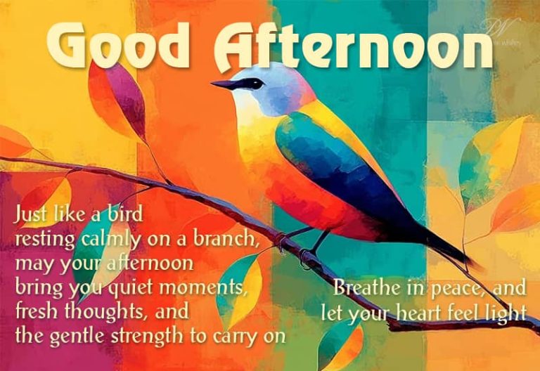Good Afternoon Wishes