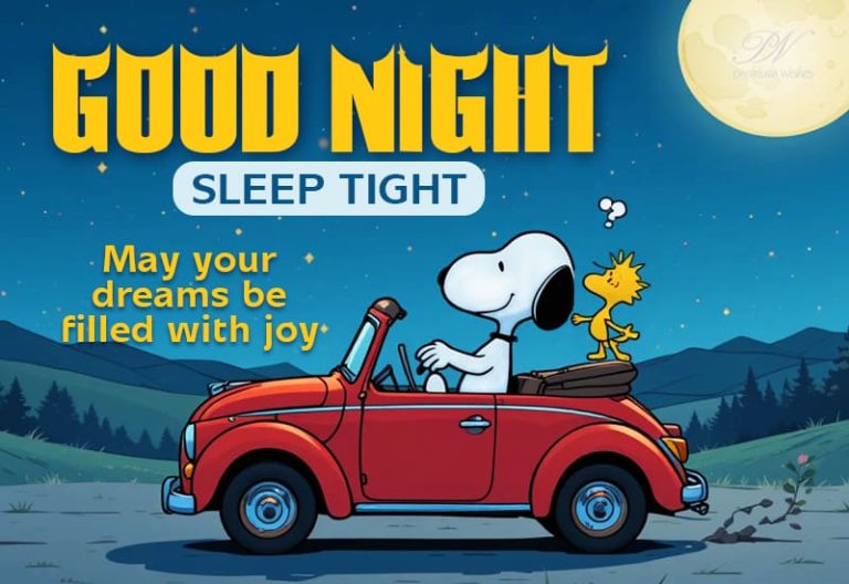 Good Night Wishes