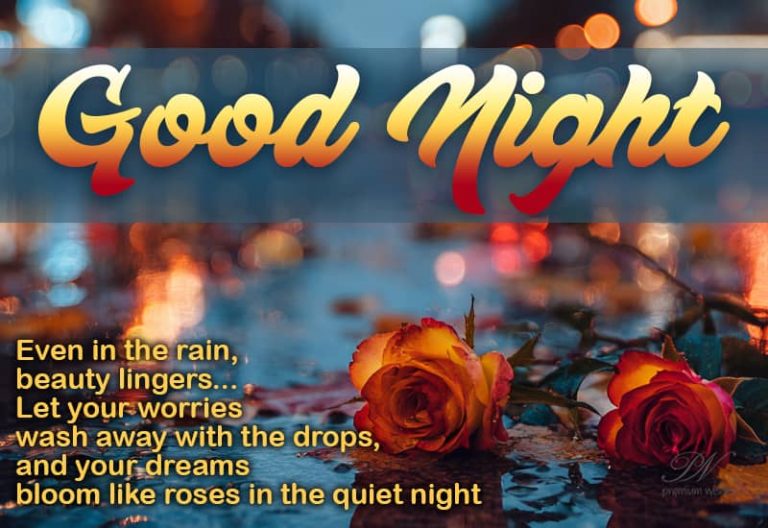 Good Night Wishes