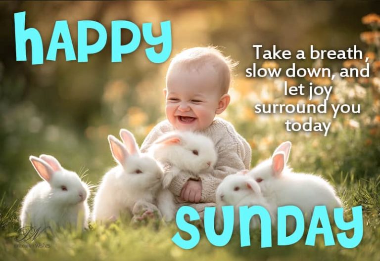 Happy Sunday – Take a breath, slow down and let joy surround you today