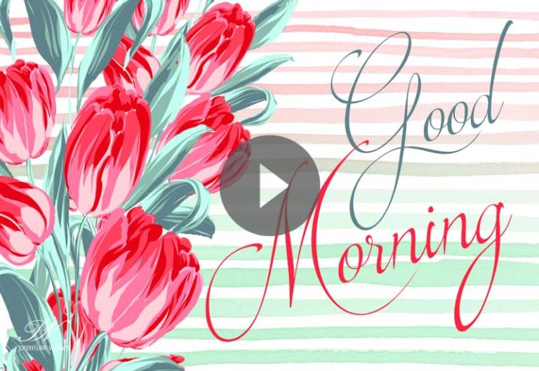 Best Good Morning Photos – Good Morning Flowers Video – Beautiful Flowers Greetings