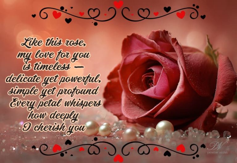 Like this rose, my love for you is timeless — delicate yet powerful, simple yet profound.