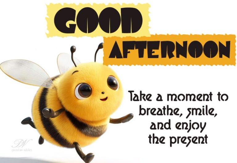 Good Afternoon Wishes